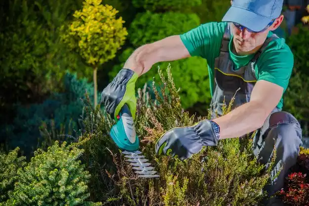 landscaping services Ferrelview